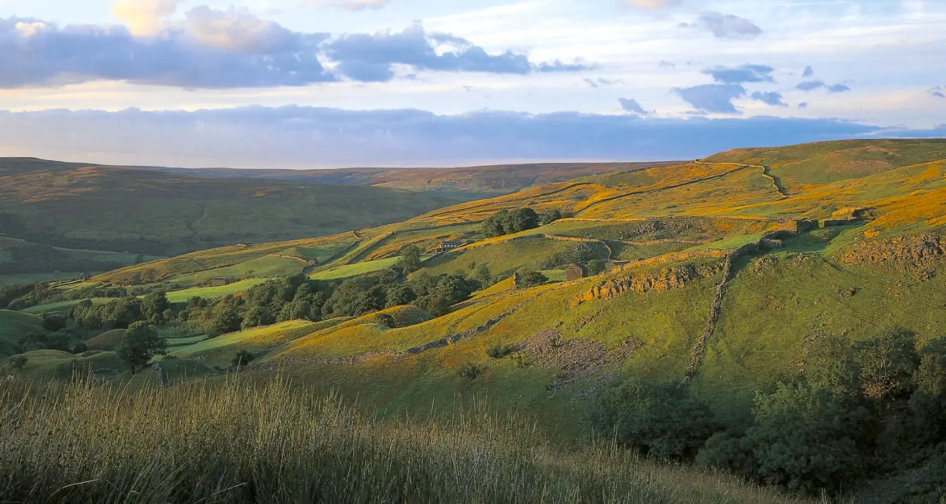 Low autumn sunlight across moorland, drystone walls and wooded dale in the North York Moors