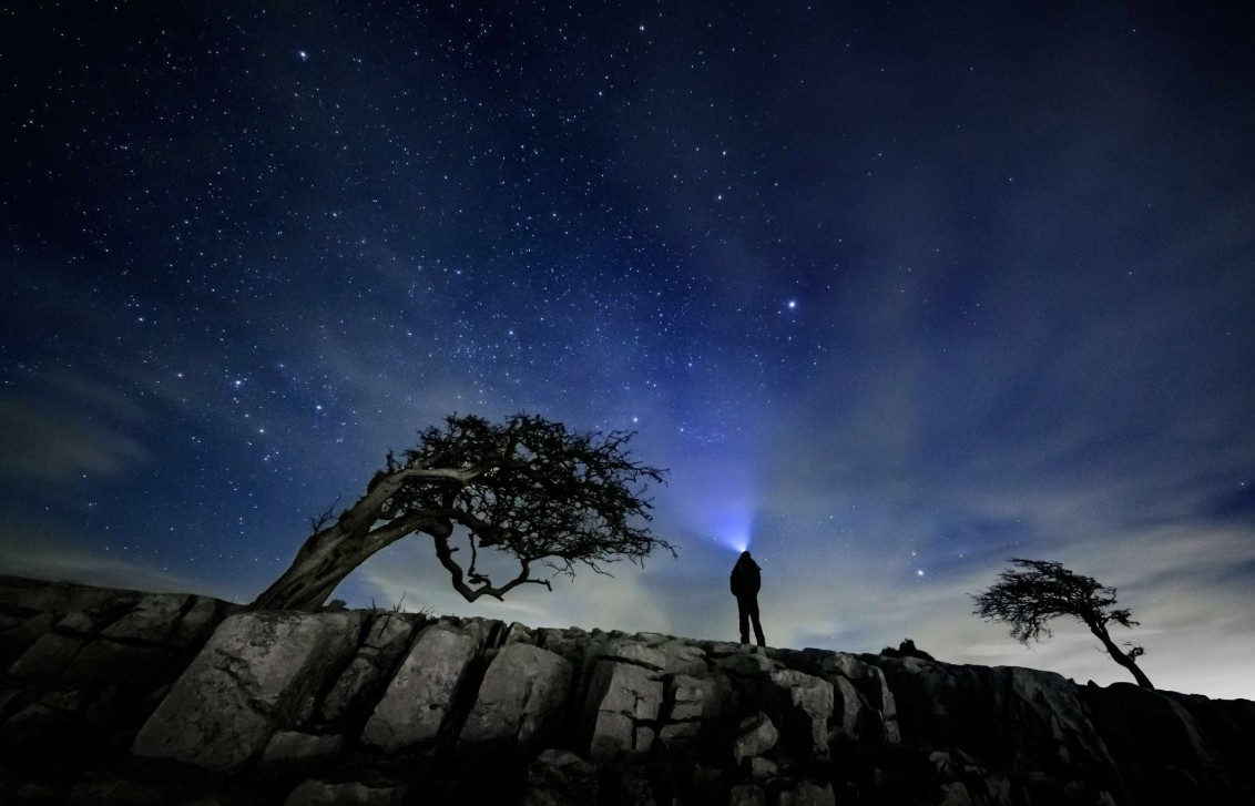A stargazer silhouetted beside a windswept tree under the Milky Way on the North York Moors dark sky