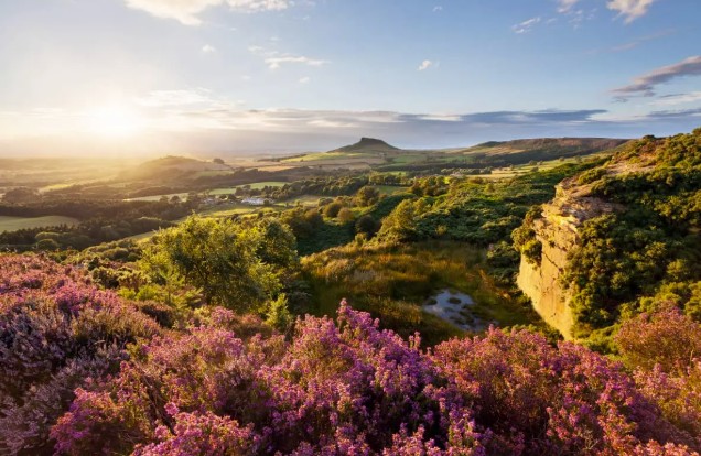 Heather moorland in the North York Moors, breeding ground for merlin, golden plover and other ground-nesting birds
