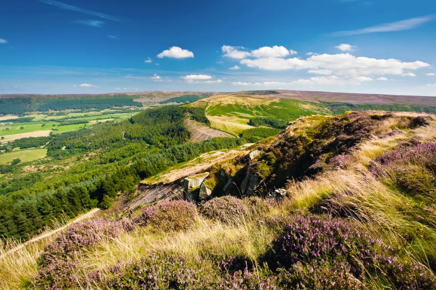 Open heather moorland on the Cleveland Way in the North York Moors