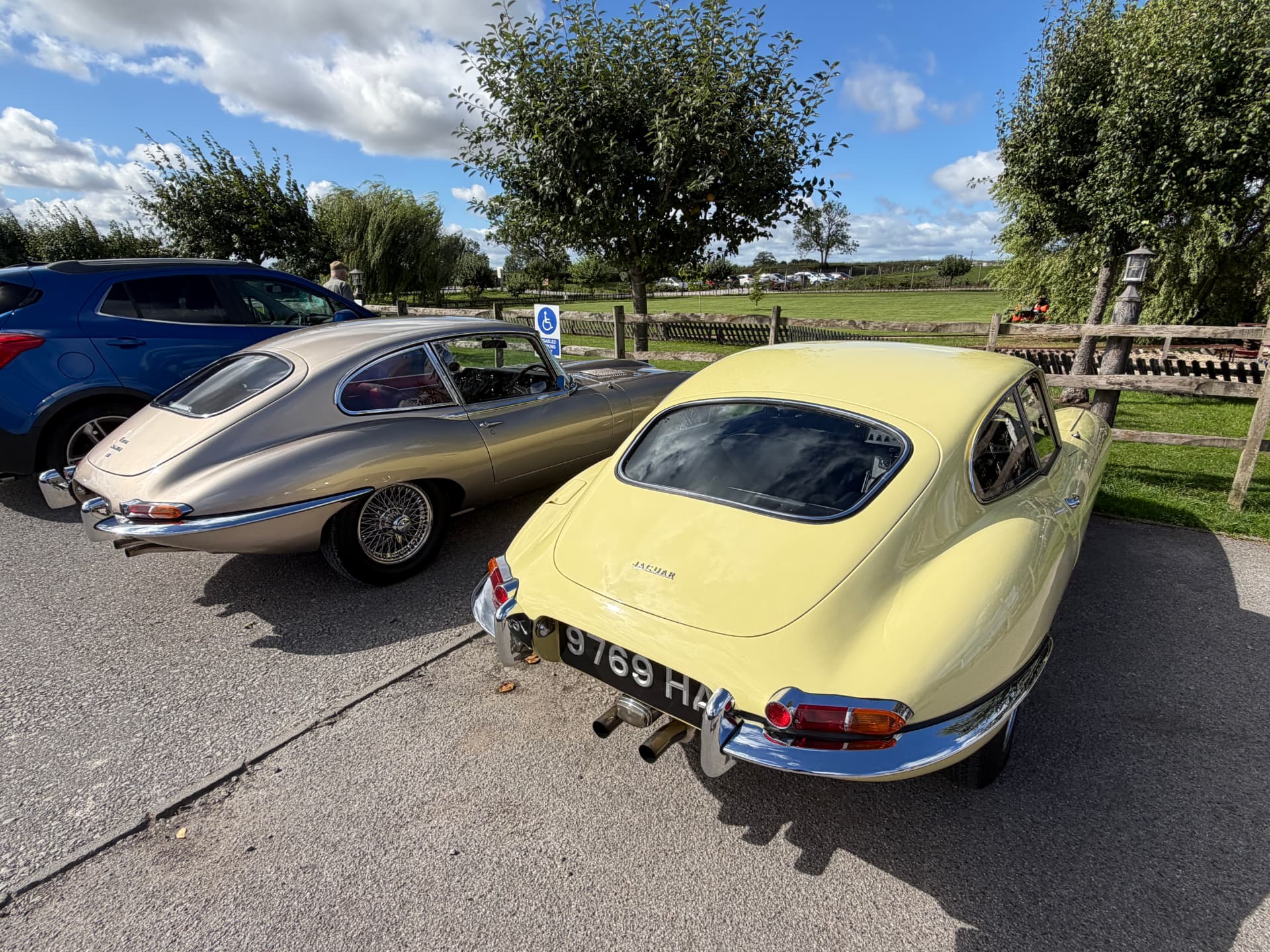 A Primrose 1963 Jaguar E-Type Series 1 3.8 fixed-head coupe registered 9769 HA parked beside a champagne gold Series 1 4.2 2+2 registered TUK 129F, seen from the rear at Cedar Barn near Pickering
