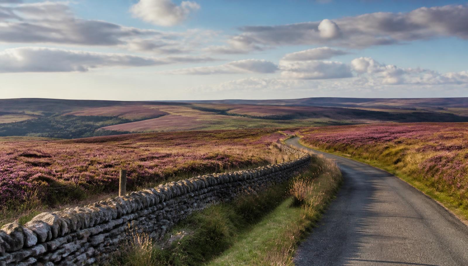 Sweeping view over purple heather moorland in the North York Moors, with a narrow road curving past a dry-stone wall towards distant hills