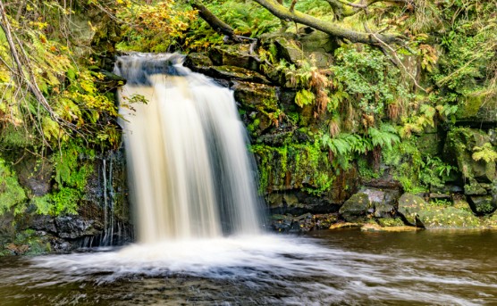 Water tumbling over a mossy fern-covered rock ledge into a dark pool on the wooded beck below Goathland