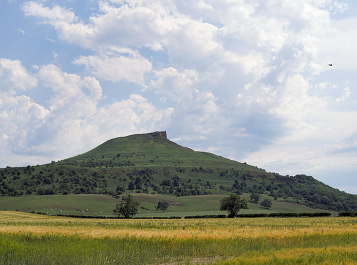 Roseberry Topping rising above barley fields and hedgerows, its half-cone summit against a summer sky