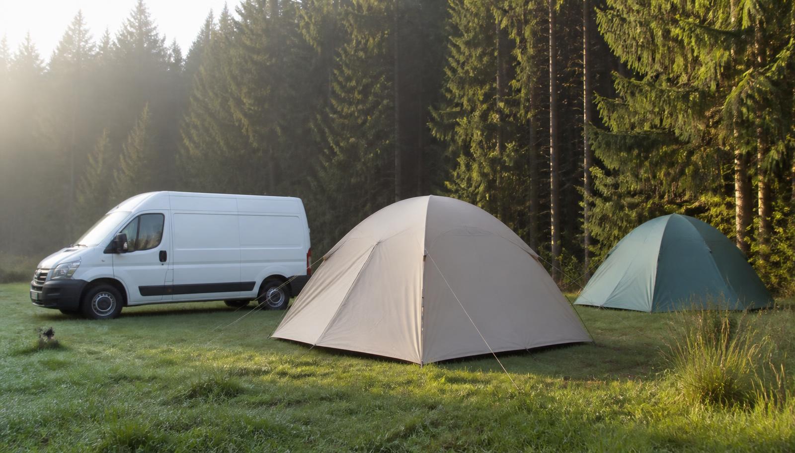 Tents and a campervan pitched on grass at the edge of a conifer forest in soft morning light