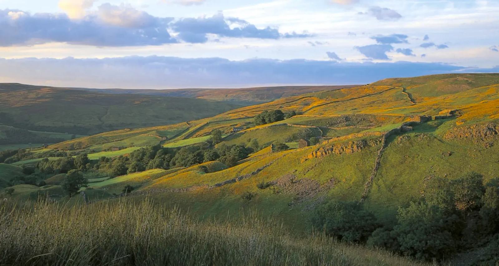 Low autumn sunlight across moorland, drystone walls and wooded dale in the North York Moors