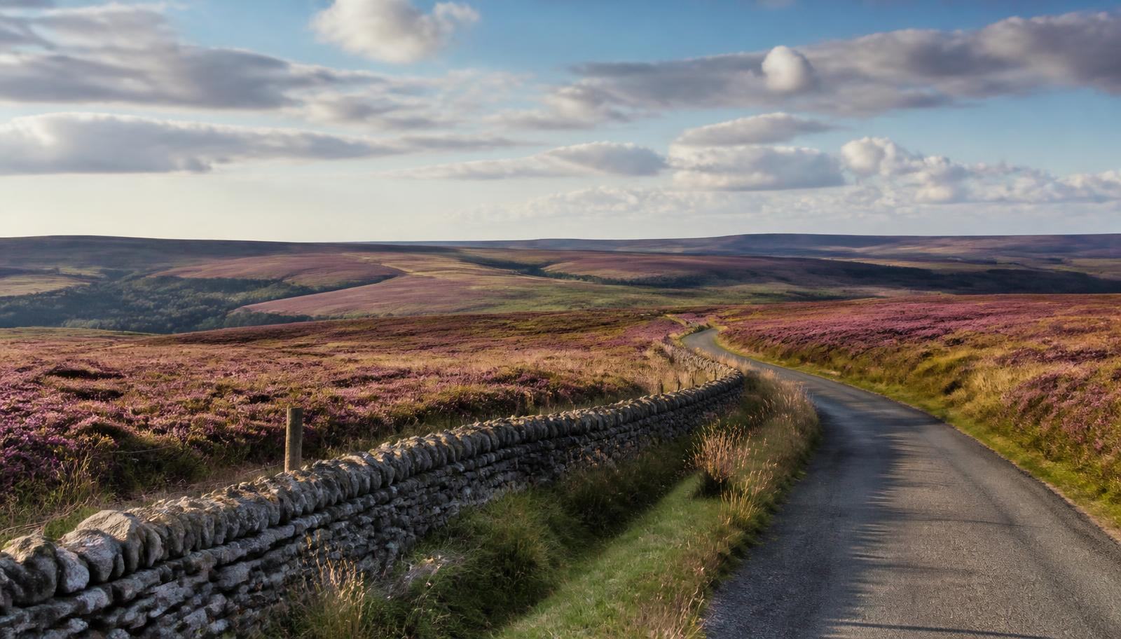 A narrow road beside a drystone wall crossing open heather moorland