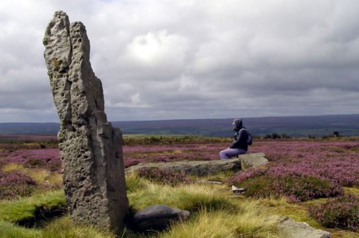 A weathered standing stone on heather moorland at the Bridestones, with a walker resting on a rock among purple heather