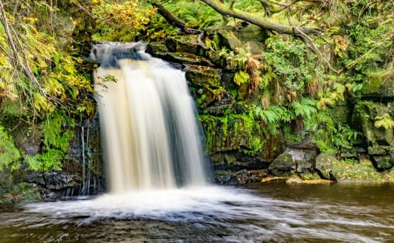 Water tumbling over a mossy fern-covered rock ledge into a dark pool on the wooded beck below Goathland